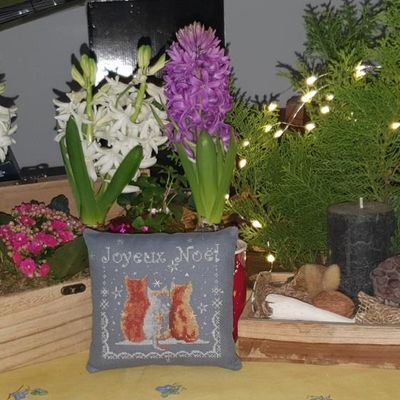 Reçu dans ma BAL 2 !