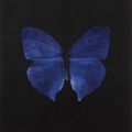 Damien Hirst, Blue Butterfly, 2008