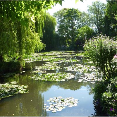 Giverny et le châle fleur