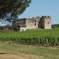 Visite au Château de Fargues (2)