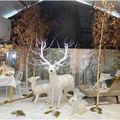 Ambiance de Noël à Cercle Vert