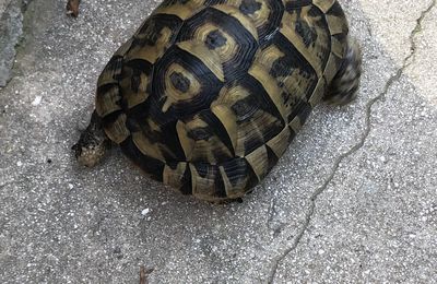 Créer un nouveau monde