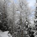 Cabane de Laga de Haut/Gr1  Mardi 19 Mars  