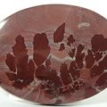 Autumn Paintbrush Jasper