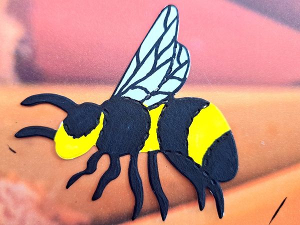 Carte BZZZ BZZZ