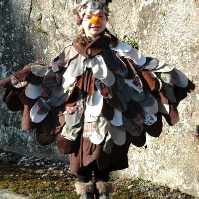 Coustume hibou de carnaval