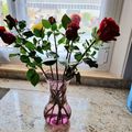 Une rose un espoir - Le coeur des motards