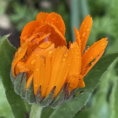 Mercredi 03 décembre 2025 les caprices du temps  ( du 30 nov 2025) et à la fin du diapo  car je ne fais pas qu'de contempler le ciel🤣 qq petites douceurs à ma façon  ( à la fin du billet je vous ai rédigé ma recette )