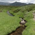 Vacances en Corse juin 2021 - La route vers le plateau du Coscione