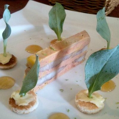 Terrine de foie gras et d’anguille fumée dans une forêt d’huître végétale