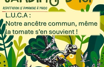 LUCA notre ancêtre commun, même la tomate s’en souvient par Paysagiste Pays Basque Paysagiste Landes