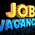 JOB VACANCY OPEN IN SEPTEMBER 2013