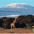 SOMMAIRE loup qui fait le tour du monde KENYA- Janvier 2017