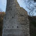 Ruine du chateaux de l'Erguël / Suisse