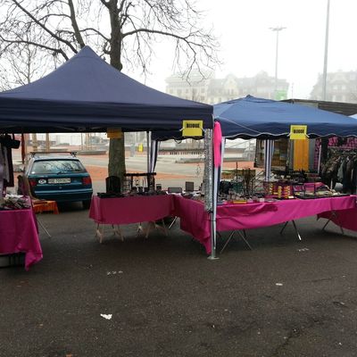 Marché de Plainpalais décembre 2013