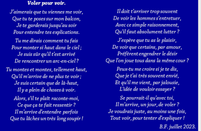 Voler pour voir