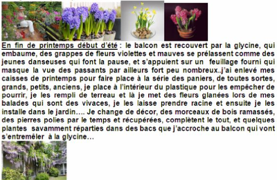 LE    BALCON    POLYMORPHE (KatyL)