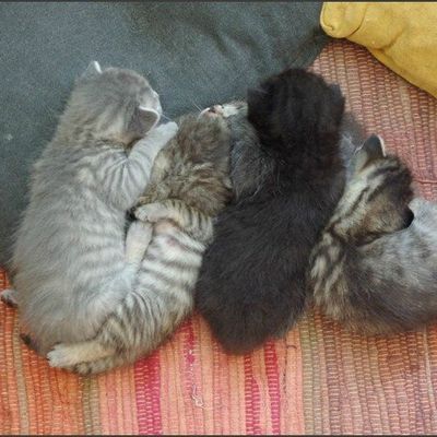 Un peu de généalogie et de souvenirs