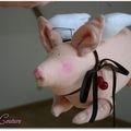 ♥ L'histoire du Petit Cochon