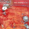 Bruno Tocanne, Lionel Martin, Rémi Gaudillat: New Dreams Now ! (Cristal Records - 2007)