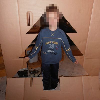 Concours "Réinventez le sapin de Noël"