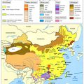 Groupes ethniques de Chine