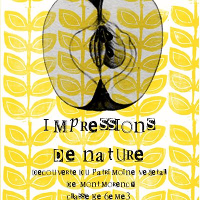 Impressions de nature