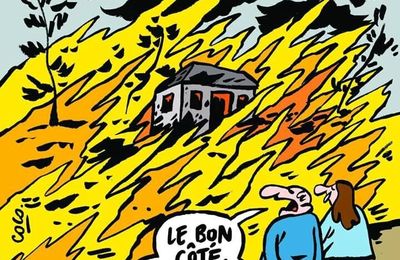 Incendie dans le sud de la France - Coco - Charlie Hebdo N°1305 - 26 juillet 2017