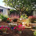 Un petit tour dans mon jardin