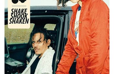 "Shake Shook Shaken" de The Do : pop électro grand public, mais pas que !