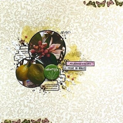 Mon citronnier - lift