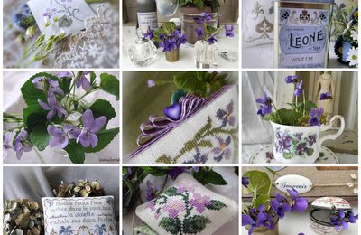 Humble violette