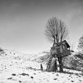 La Maison des feuilles - paysage