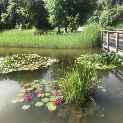 Presque 14 ans / 10 ans 2 mois / 6 ans 8 mois