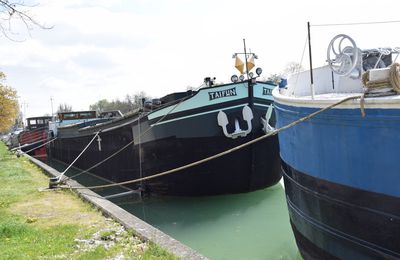 Le Canal de l'Aisne à la Marne à Reims le 18 avril 2023 (1)