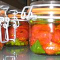 Tomates confites pour l'hiver