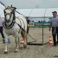 Concours Utilisation - Genech 2014