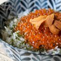 Donburi de luxe 1: oeufs de truite et corail d'oursin