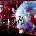 Eternal Twilight 3 - Du 19/02/10 au 21/02/10