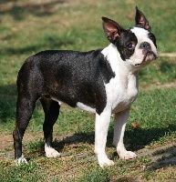 Les ascendants de Feunie