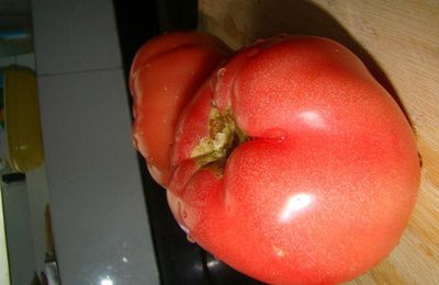 00237 - Suzhou - Tomates farcies