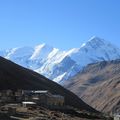 J21 Leddar (4200m) - Manang (3600m)