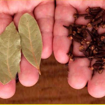 PURIFIER VOTRE AURA AVEC DES FEUILLES DE LAURIER 