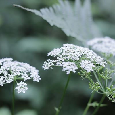 le temps des blogs (suite)