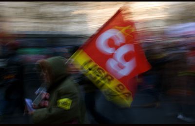 Manif du 29 Janvier 2009