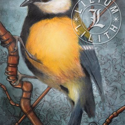 Carte postale, mésange, dessin aux pastels