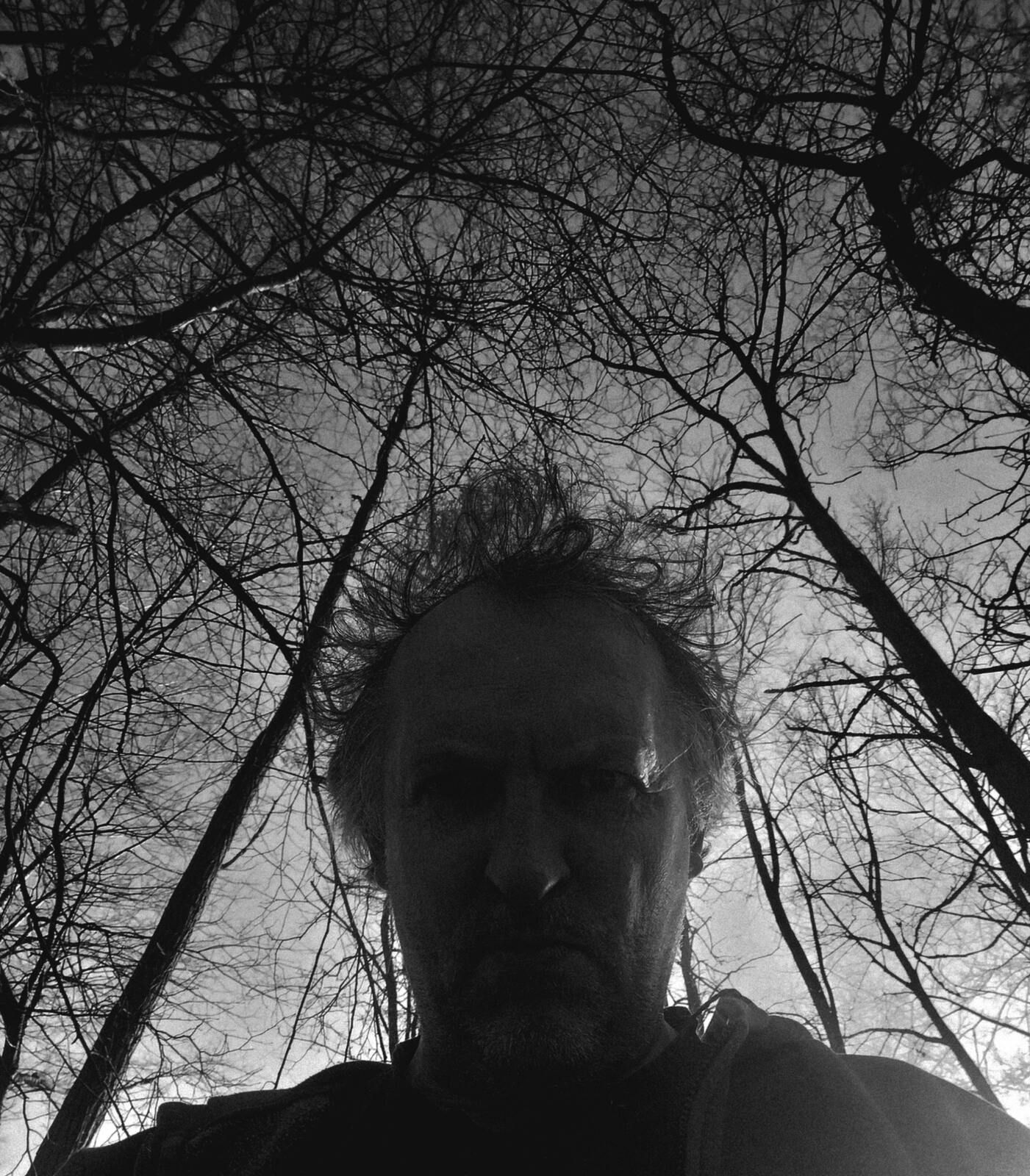Jénorme dans la forêt, insta (64)