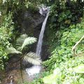 los Baños de Agua Santa (premiers contacts avec la nature equatorienne)