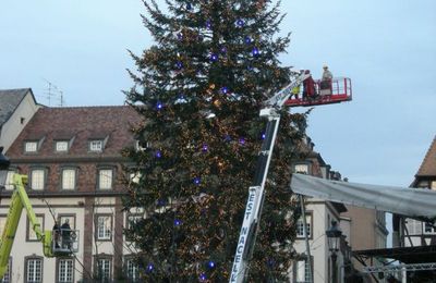 Sapin le 20 novembre + pétition