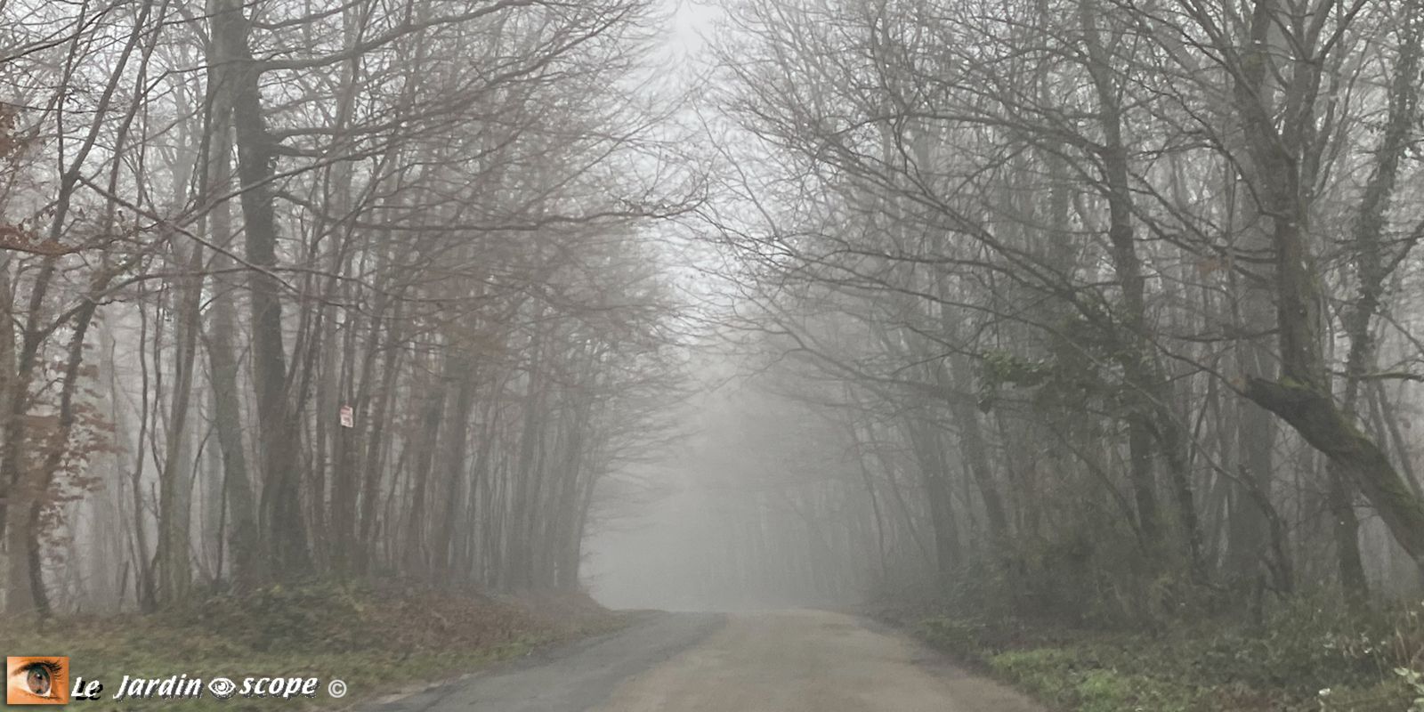 Boigny-sur-Bionne dans le brouillard